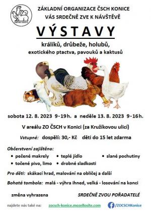 Výstava